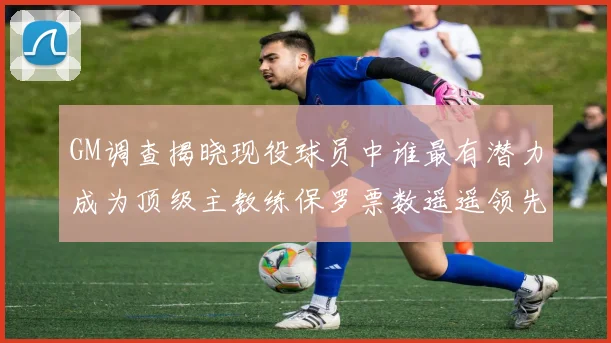 GM调查揭晓现役球员中谁最有潜力成为顶级主教练保罗票数遥遥领先