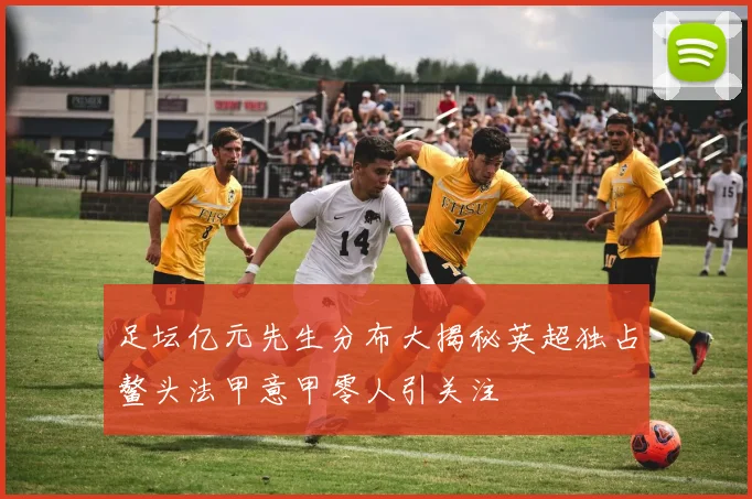 足坛亿元先生分布大揭秘英超独占鳌头法甲意甲零人引关注