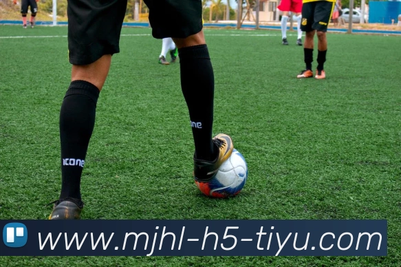 麻将胡了APP 封面图